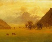 阿尔伯特 比尔施塔特 : Rhone Valley